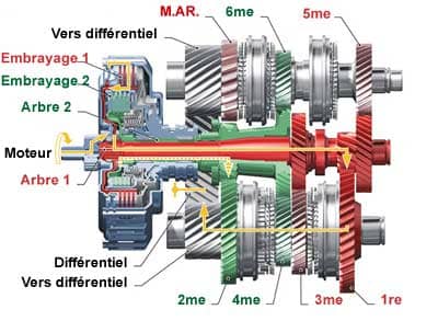 dsg schema